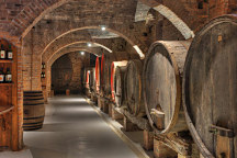 Obraz Vínna pivnica víno vino vine